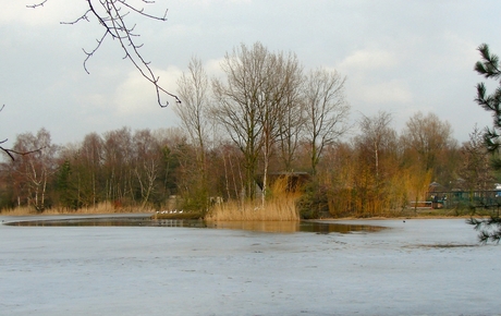 Winter in de Huttenheugte