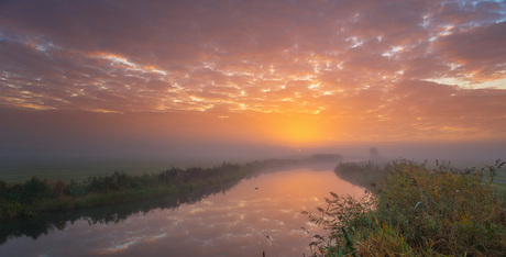 Rhenen in de mist