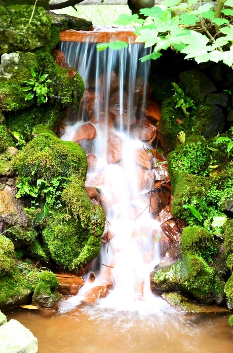 Waterval in Pairi Daiza - Ath - België