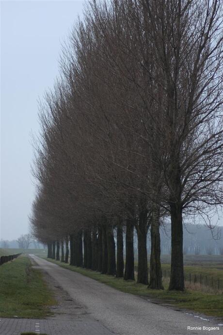 Lege polderweg