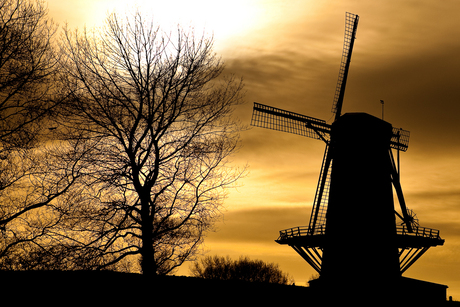 Molen te Veere