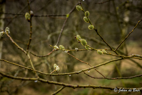 Wandelen water en fotografie (Grunniger Weke)-16