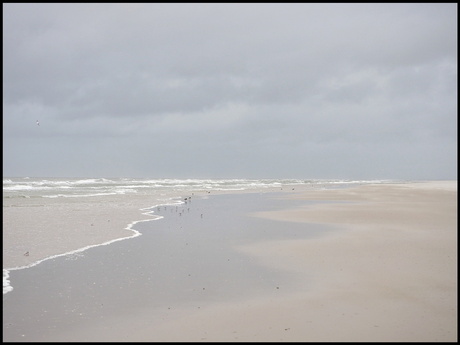 Noordzeestrand