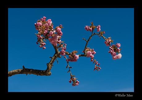 Spring is in the air