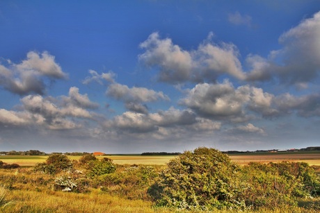 texel hdr 3