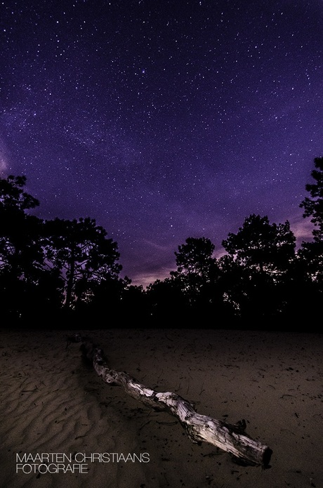 Stars & Dunes