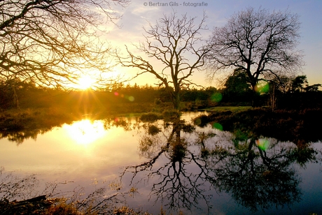 Sun setting on the heath.