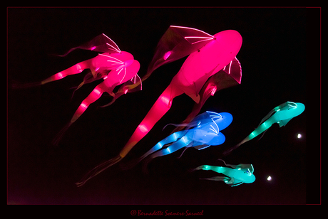 Glow Luchtvissen