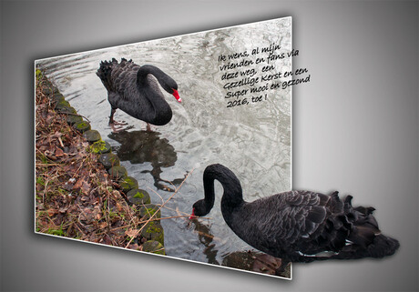 Kerstgroet voor iedereen