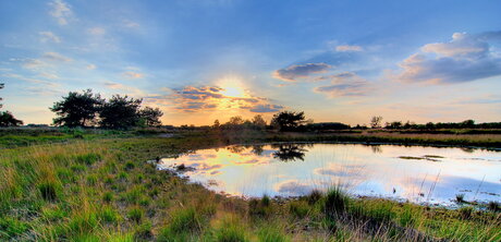 zonsondergang boven de heide