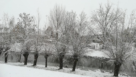 winter in Maassluis