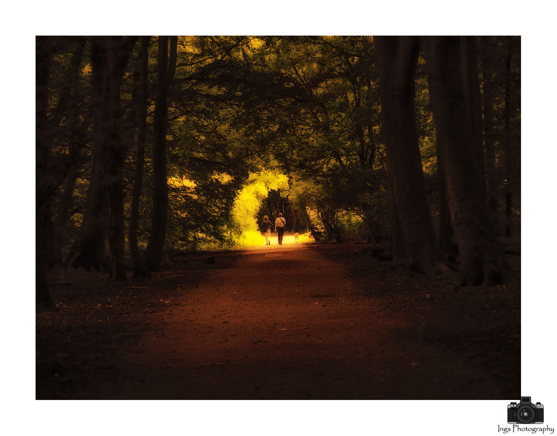 scroll into the light - een wandeling in het Amsterdamse bos op een mooie zomermiddag
gebruik gemaakt van NIK bewerkingsprogramma om deze sfeer te krijgen. - foto door ingrid-1950 op 21-08-2017 - deze foto bevat: amsterdam, licht, bos, bewerking, nik