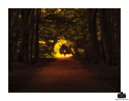 scroll into the light - een wandeling in het Amsterdamse bos op een mooie zomermiddag
gebruik gemaakt van NIK bewerkingsprogramma om deze sfeer te krijgen. - foto door ingrid-1950 op 21-08-2017 - deze foto bevat: amsterdam, licht, bos, bewerking, nik