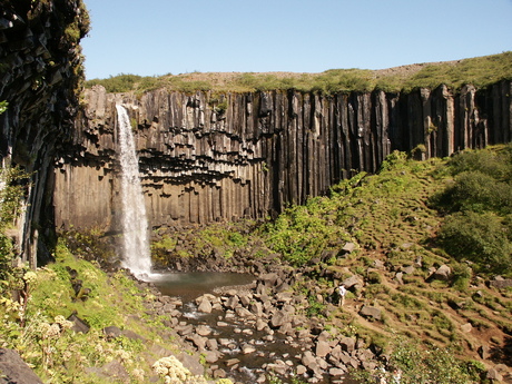 Svartifoss in IJsland