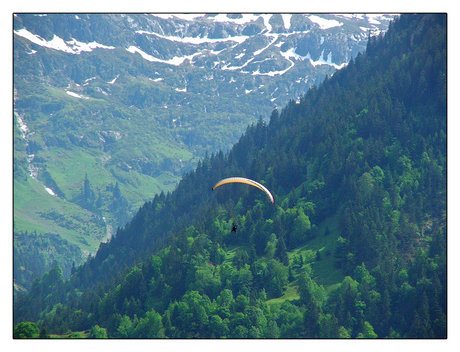 Alpen VIII - Paraglyder