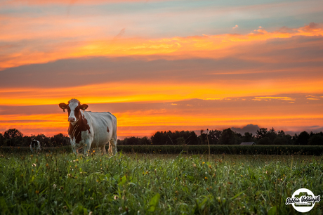 Landelijke zonsondergang