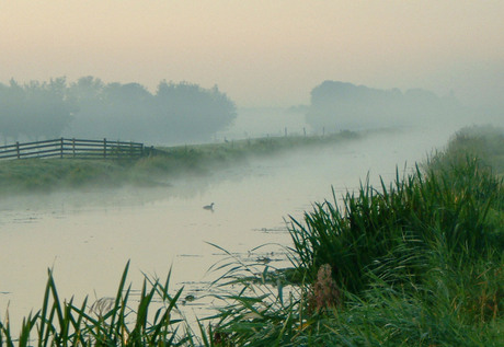 Boezem in ochtendnevel