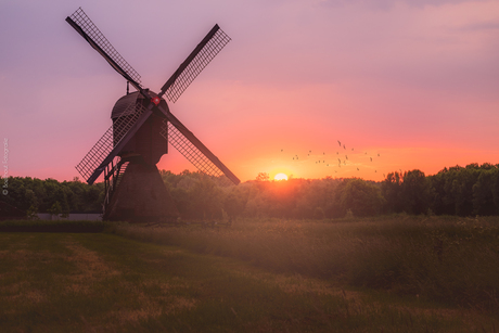 Zandwijkse Molen