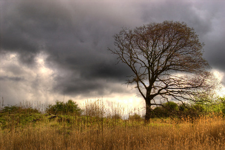 Meyendel HDR 8