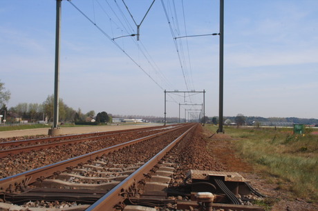 Spoor