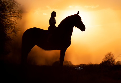 Het kleine meisje en haar paard!