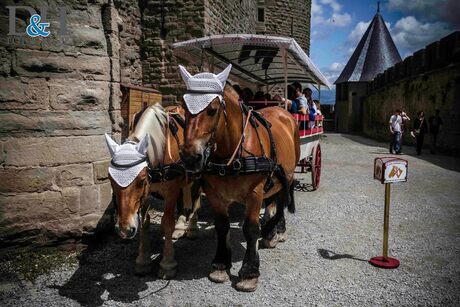 Paardenkoets te Carcassonne