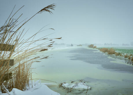 Winter in de polder