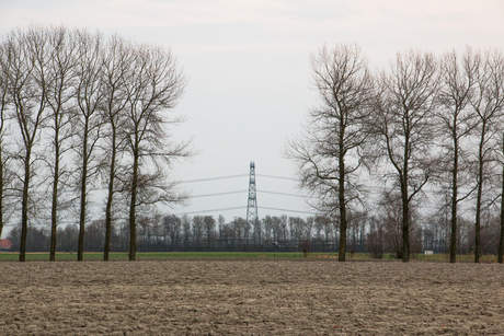 In de voetsporen van Martin Kers