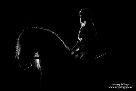 Black friesian horse bij night