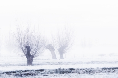 9 jan 2021 tóch een kleine witte wereld....3070