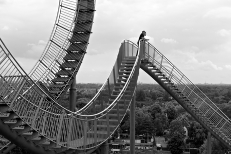 Tiger & Turtle