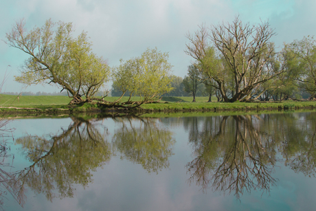 spiegeltje