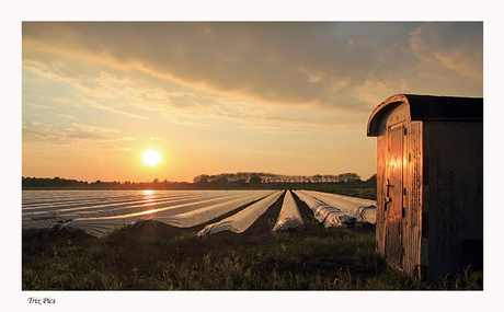 Brabants Landschap.