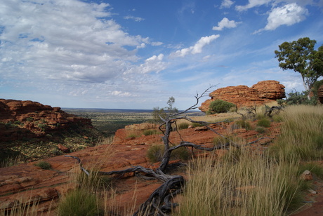 Kings Canyon