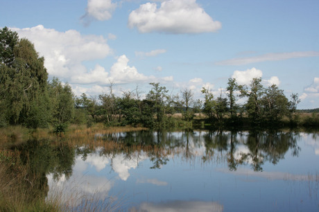 Een meer op de Veluwe