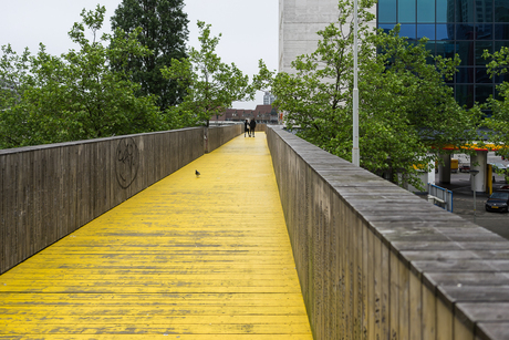 Rotterdam in het geel 4