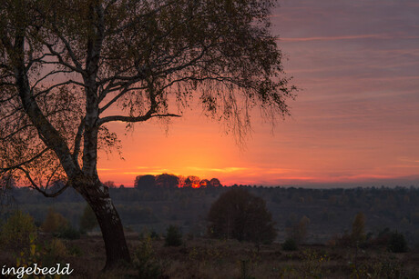 you are beautyfull, in everysingle way..