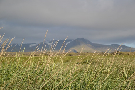 Landschap IJsland