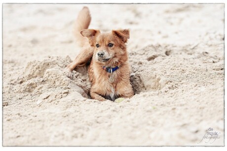 Spelen in het zand