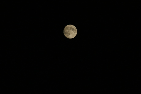de volle maan