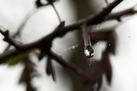 Van de regen...