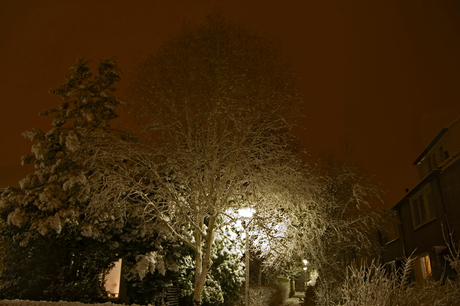 Sneeuw in de buurt