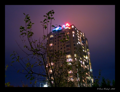 Kleuren in de nacht