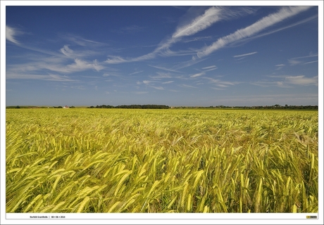 Gouden Graanveld - Norfolk graanschuur van Engeland