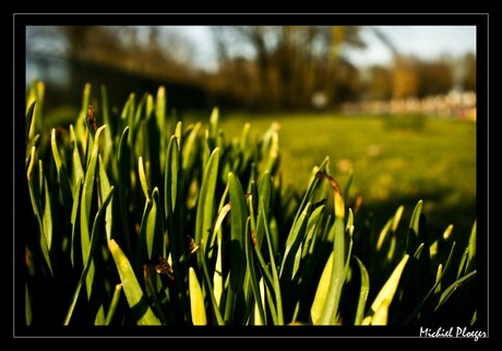 Lente begint!