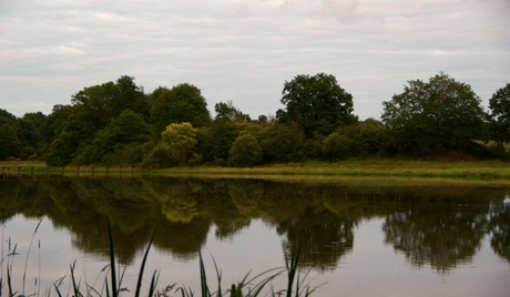 meertje bij kasteel.(Drulon)