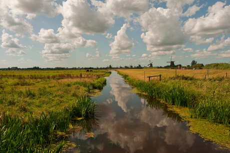 Zicht over de polder