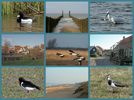 Collage Zeeland