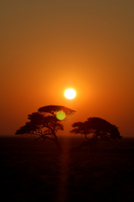 african sunrise