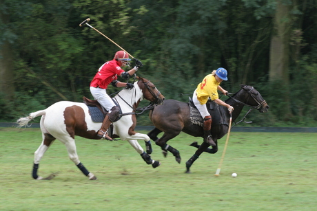 Polo Amsterdamse Bos